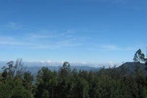 Doddabetta Resort Ooty Eksteriør bilde