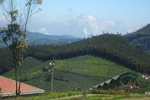 Doddabetta Resort Ooty Eksteriør bilde